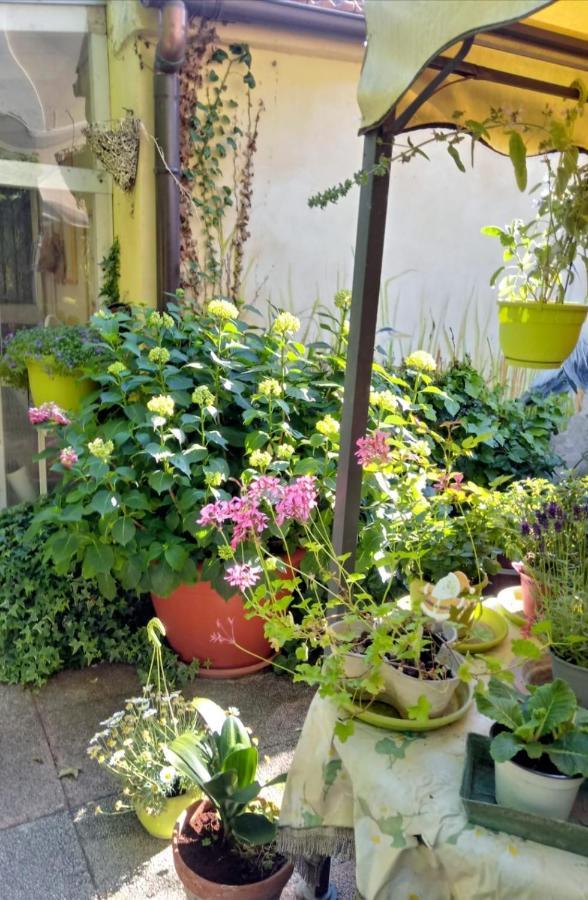 Bed And Breakfast Di Manu Taglio di Po Εξωτερικό φωτογραφία